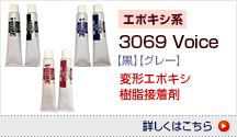 3069 Voice