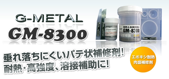 3069 Voice